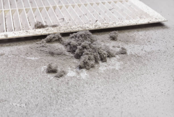 Air Duct Mold Removal in Surf City, NC